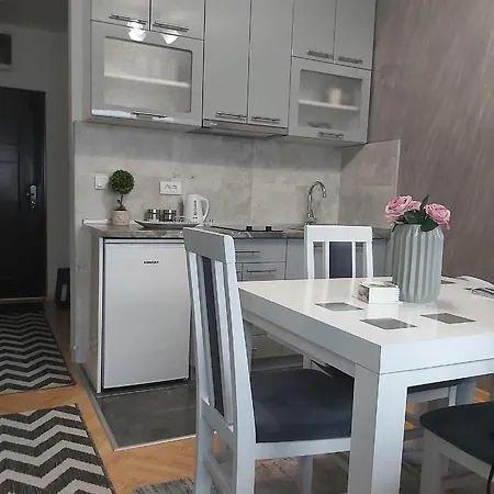 Dora Lux & Free Indoor Parking Appartamento Vrnjačka Banja