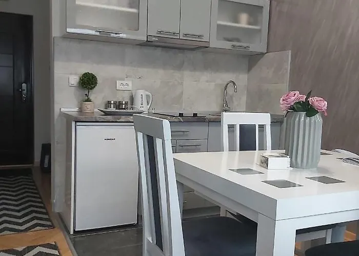 Dora Lux & Free Indoor Parking Daire Vrnjačka Banja