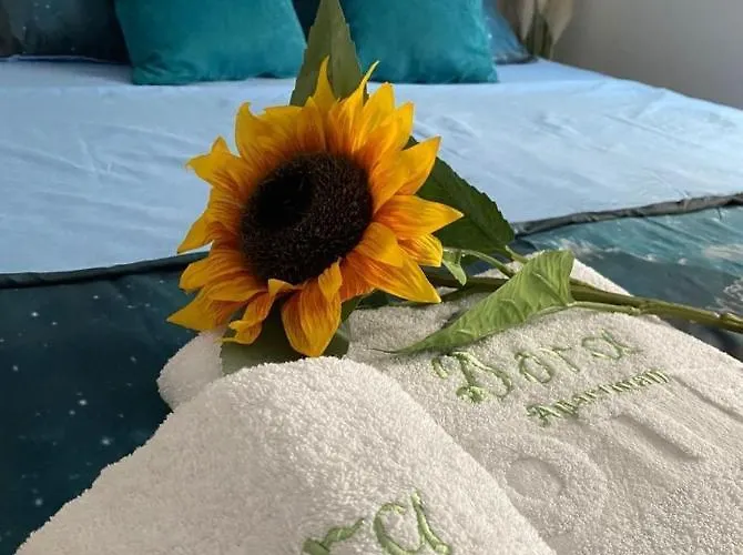 Daire Dora Lux & Free Indoor Parking *