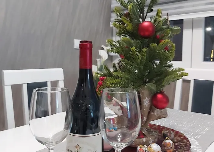 Dora Lux & Free Indoor Parking Daire Vrnjačka Banja